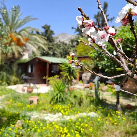 Levantes Garden House - Keratókambos Dış mekan fotoğraf