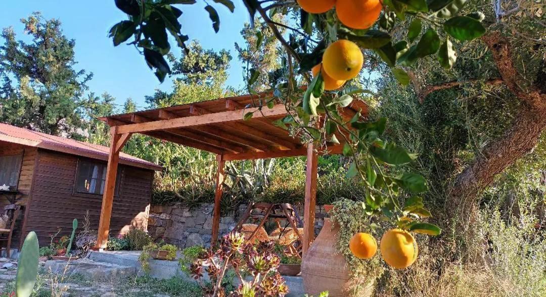 Levantes Garden House - Keratókambos Dış mekan fotoğraf