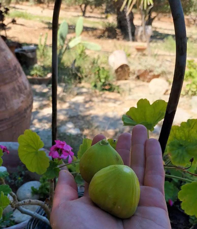 Levantes Garden House - Keratókambos Dış mekan fotoğraf