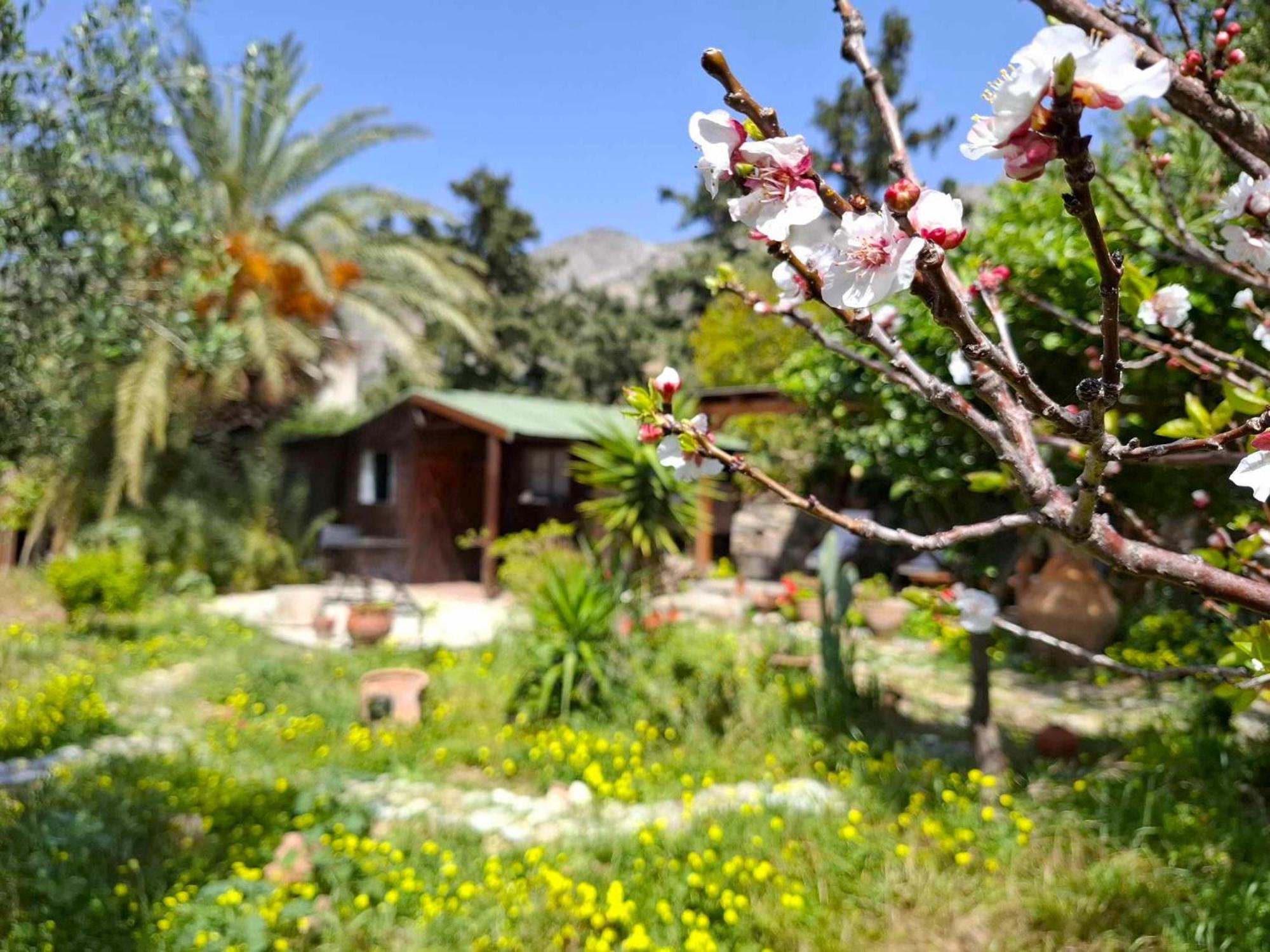 Levantes Garden House - Keratókambos Dış mekan fotoğraf